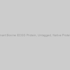 Image of Recombinant Bovine ECGS Protein, Untagged, Native Protein-100mg